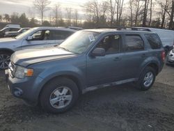 Salvage cars for sale at Waldorf, MD auction: 2010 Ford Escape XLT