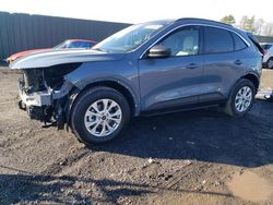 Salvage cars for sale at Finksburg, MD auction: 2024 Ford Escape Active