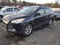 Salvage cars for sale at Exeter, RI auction: 2013 Ford Escape SE