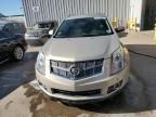 2012 Cadillac SRX Premium Collection