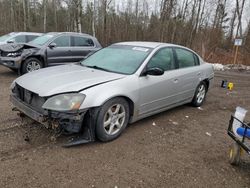 Nissan salvage cars for sale: 2005 Nissan Altima S