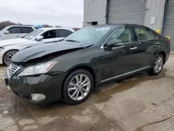 Salvage cars for sale at Memphis, TN auction: 2011 Lexus ES 350