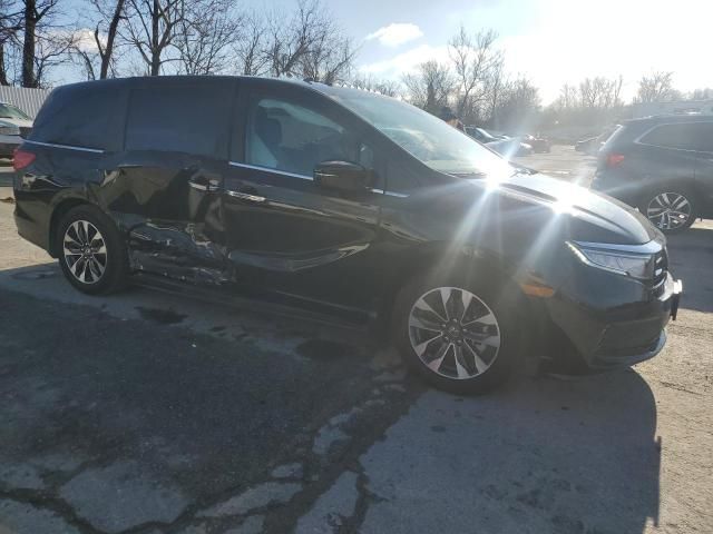 2024 Honda Odyssey EXL