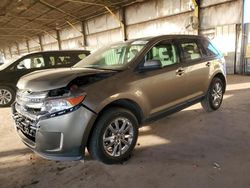 Salvage cars for sale at Phoenix, AZ auction: 2013 Ford Edge SEL