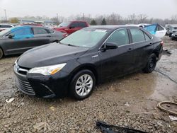 Toyota Vehiculos salvage en venta: 2016 Toyota Camry Hybrid