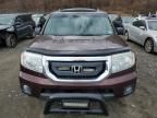 2009 Honda Pilot EXL