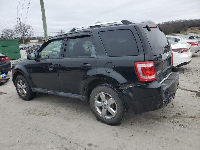 2011 Ford Escape Limited