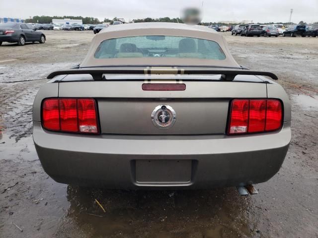 2005 Ford Mustang