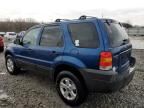 2007 Ford Escape XLT