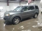 2009 Honda Pilot EXL