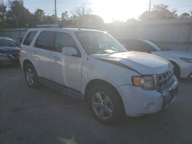 2011 Ford Escape Limited