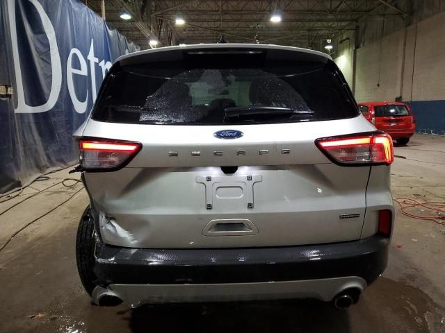 2020 Ford Escape SE Sport