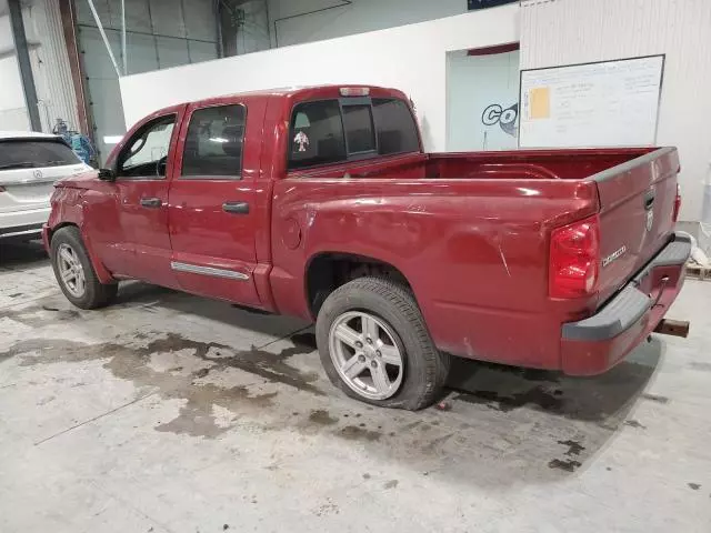 2010 Dodge Dakota SXT