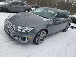 Salvage cars for sale at Cookstown, ON auction: 2019 Audi A4 Prestige