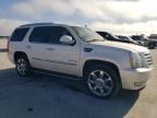 2011 Cadillac Escalade Luxury