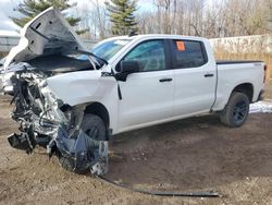 Salvage cars for sale at Davison, MI auction: 2023 Chevrolet Silverado K1500 Trail Boss Custom