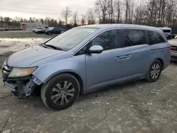 Salvage cars for sale at Waldorf, MD auction: 2014 Honda Odyssey EX