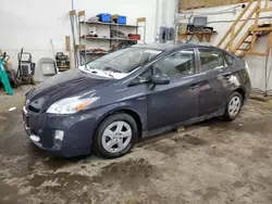 Toyota Prius salvage cars for sale: 2010 Toyota Prius