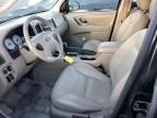 2007 Ford Escape XLT