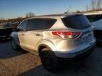 2013 Ford Escape S