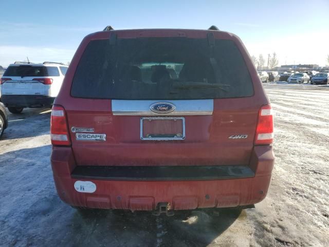 2009 Ford Escape Limited