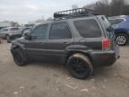 2005 Mercury Mariner