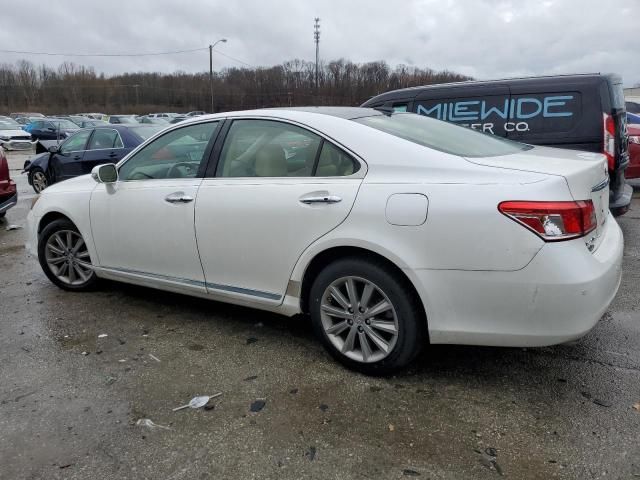 2010 Lexus ES 350