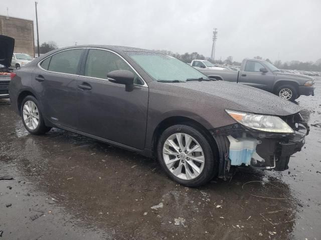 2014 Lexus ES 300H