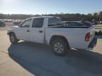 2004 Dodge Dakota Quad Sport