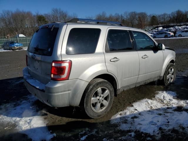 2009 Ford Escape Limited