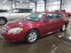 Salvage cars for sale at Ham Lake, MN auction: 2009 Chevrolet Impala 1LT