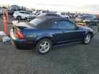 2002 Ford Mustang