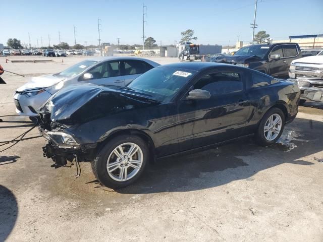 2013 Ford Mustang