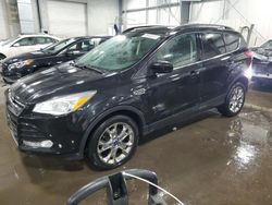 Ford Escape Vehiculos salvage en venta: 2014 Ford Escape SE