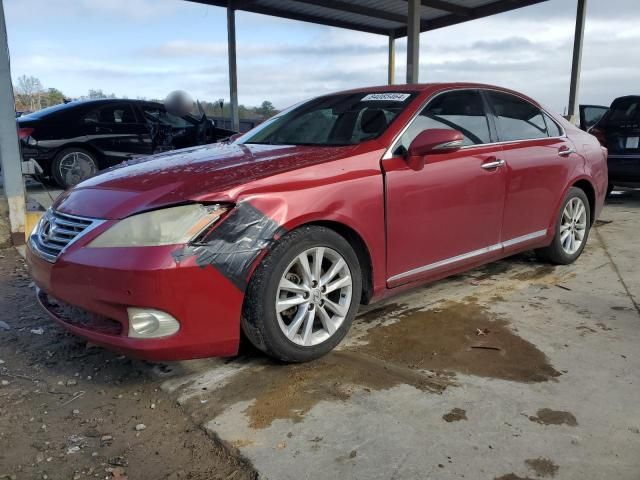 2010 Lexus ES 350