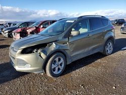 Salvage cars for sale at Helena, MT auction: 2014 Ford Escape SE