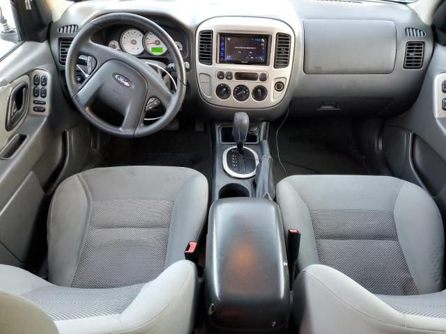 2007 Ford Escape XLT