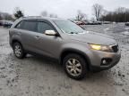 2011 KIA Sorento Base