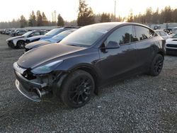 Tesla salvage cars for sale: 2024 Tesla Model Y