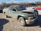 2002 Dodge Dakota SLT