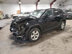 Toyota rav4 xle salvage cars for sale: 2021 Toyota Rav4 XLE