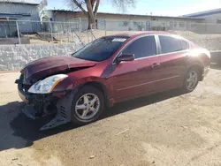 Salvage cars for sale at Albuquerque, NM auction: 2010 Nissan Altima Base