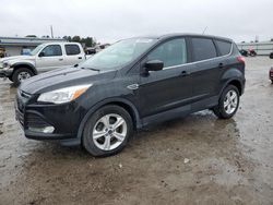 Ford salvage cars for sale: 2015 Ford Escape SE