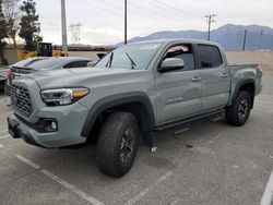 Salvage cars for sale at Rancho Cucamonga, CA auction: 2023 Toyota Tacoma Double Cab