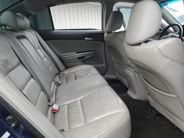 2009 Honda Accord EXL