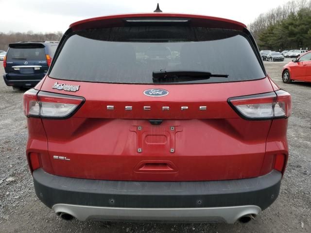 2022 Ford Escape SEL