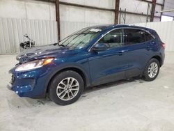 Salvage cars for sale at Lawrenceburg, KY auction: 2020 Ford Escape SE