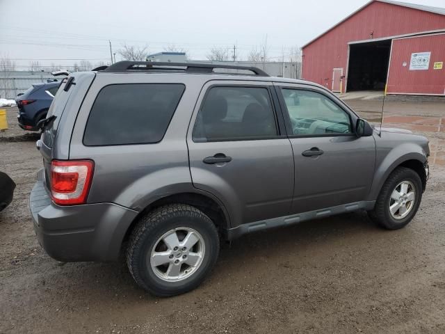 2010 Ford Escape XLT