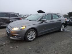 Salvage cars for sale at Eugene, OR auction: 2014 Ford Fusion SE Hybrid