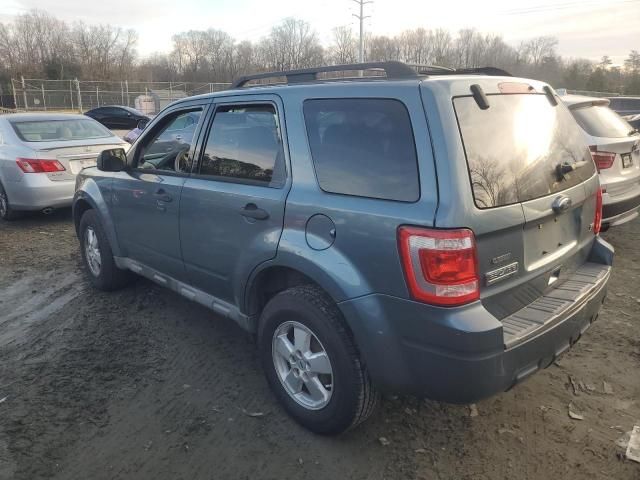 2010 Ford Escape XLT